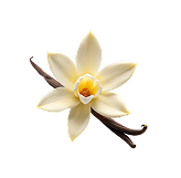 Vanilla